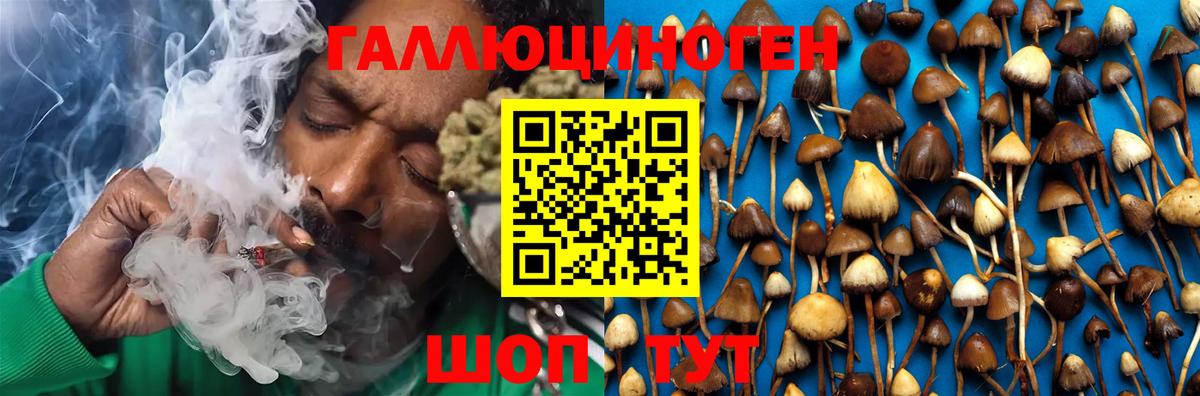 Псилоцибиновые грибы Psilocybine cubensis  Вход с VPN  Махачкала 